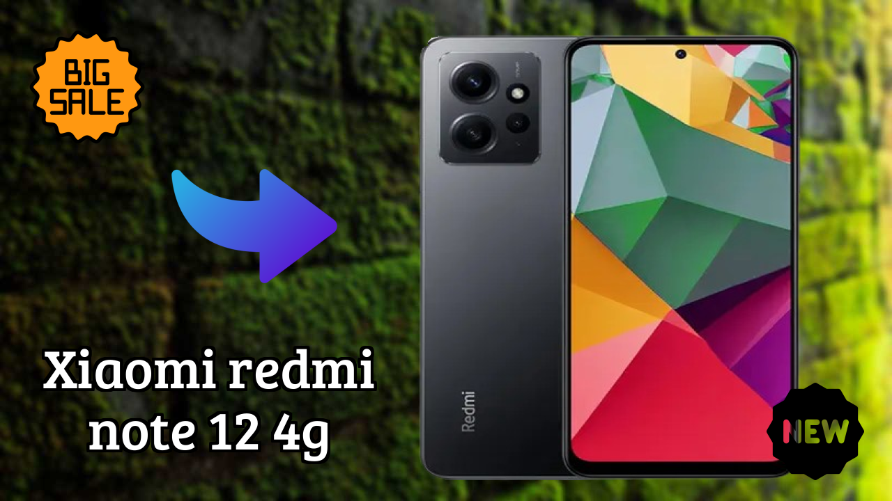 Xiaomi Redmi Note 12 4G Camera Test: 50 MP + 8 MP + 2 MP Rear Camera Sample Shots